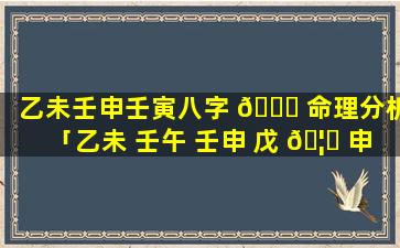 乙未壬申壬寅八字 🐋 命理分析「乙未 壬午 壬申 戊 🦋 申」